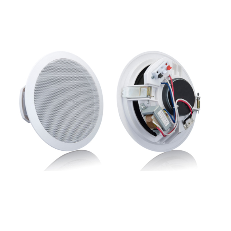 ZERDA Haut Parleurs de Plafond Woofer 5 Pouces 6W