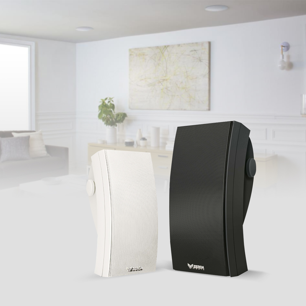 Haut Parleur Invisible 60W Woofer 4.5"+2.5"*2 Pouces ZERDA