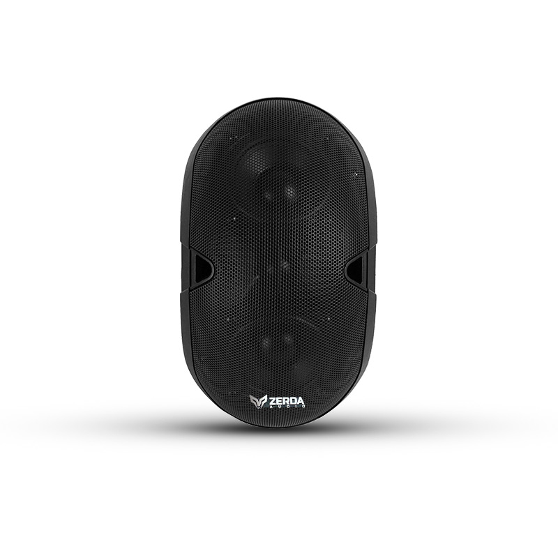 Haut Parleur Invisible 30W Woofer Double 4" Pouces ZERDA