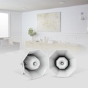 Haut Parleur à Pavillon 100W Woofer 6" Pouces ZERDA