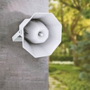 Haut Parleur à Pavillon 100W Woofer 6" Pouces ZERDA