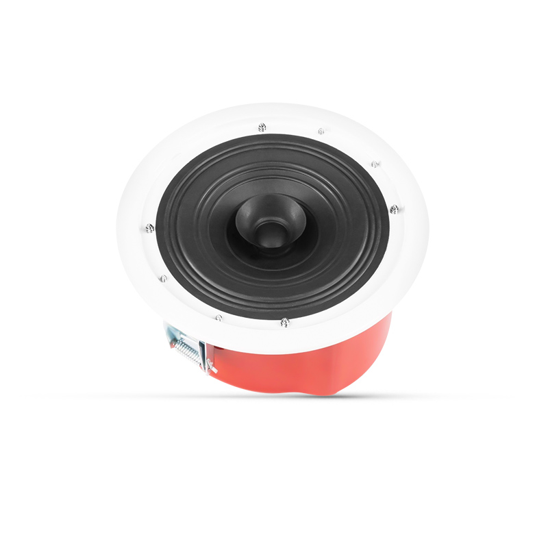 Haut Parleur de Plafond 6W Woofer 6.5&quot; Pouces ZERDA