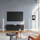 Haut Parleur Colonne 20W Woofer 2.5"*2 Pouces ZERDA