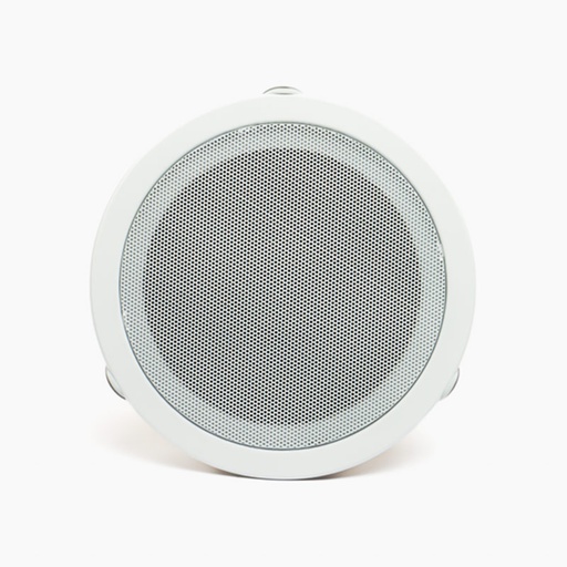 [ZRLSYT6] Ceiling Speaker Woofer 6 inch 6W ZERDA 